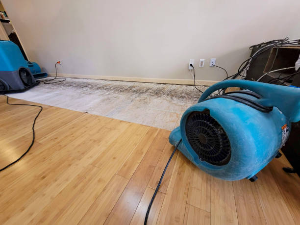 Professional Structural Drying technician working in Tallassee, TN
